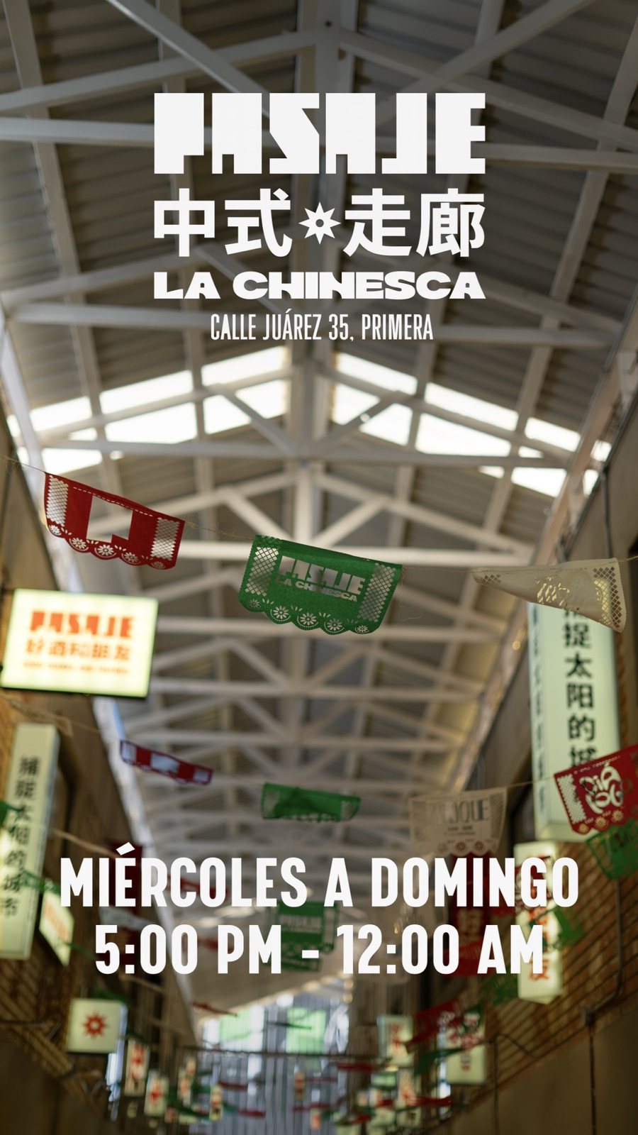 Trabajo de Punto Ciego para Pasaje La Chinesca: pieza 14